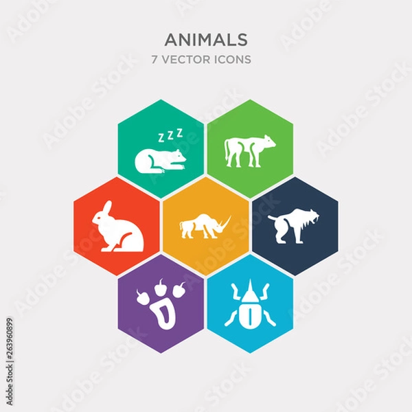 Fototapeta simple set of insect, paw, smilodon, coelodonta icons, contains such as icons bunny, cows, hibernation and more. 64x64 pixel perfect. infographics vector