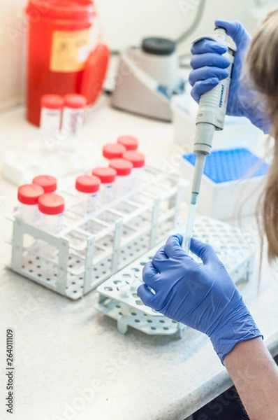 Obraz Close-up test tubes rack