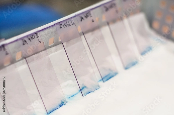 Obraz Laboratory equipment close-up