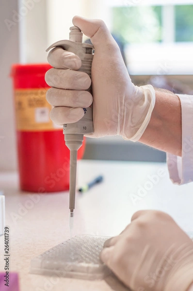 Obraz Close-up working in laboratory