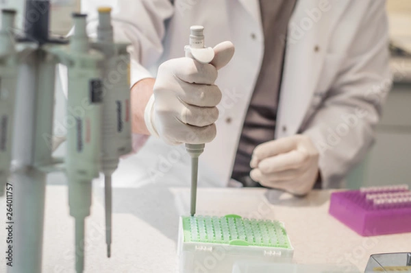 Obraz Close-up working in laboratory