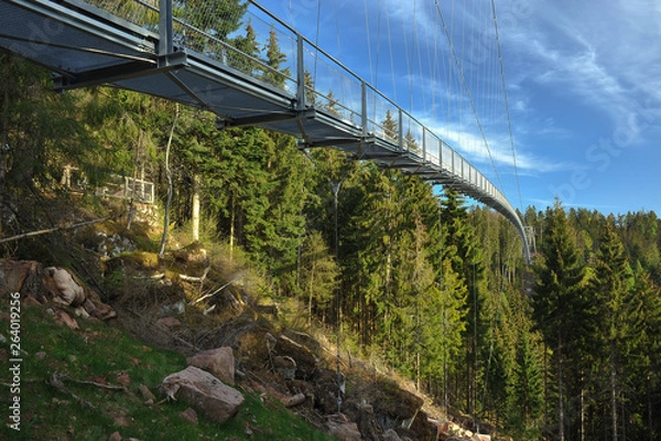 Obraz Hängebrücke Wild Line