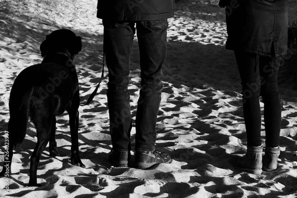 Obraz walking at the 