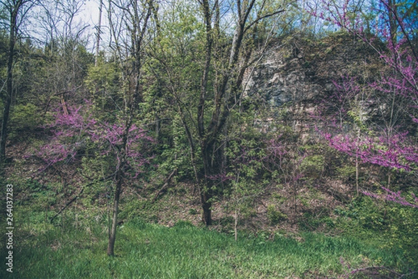 Obraz Spring in Ohio