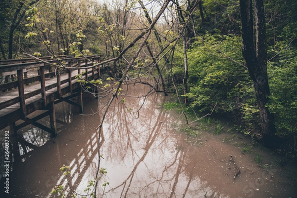 Obraz Spring in Ohio