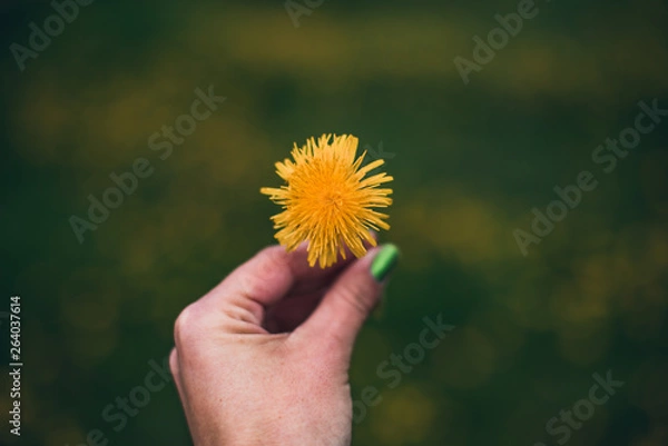 Obraz Spring in Ohio