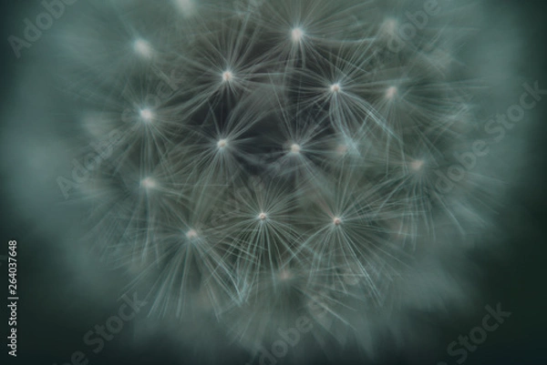 Obraz Spring in Ohio