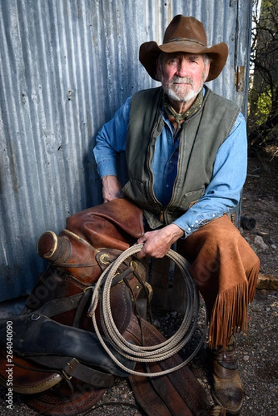 Obraz Old cowboy with gray beard wears leather hat, leather chaps, and holds a lasso and is sitting with a leather saddle.