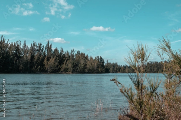 Obraz Landscape Park in Miami 