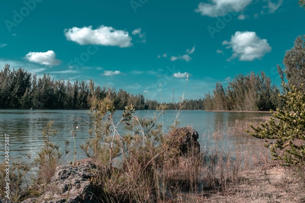 Obraz Landscape Park in Miami 