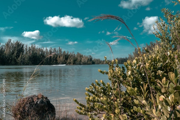 Obraz Landscape Park in Miami 