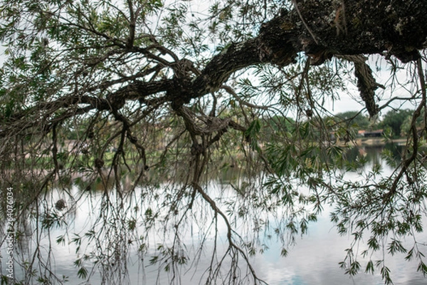 Obraz Landscape Park in Miami 