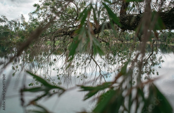 Obraz Landscape Park in Miami 