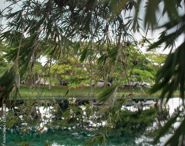 Obraz Landscape Park in Miami 