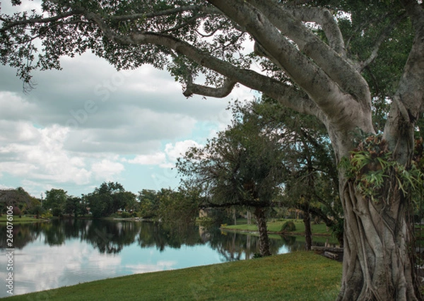 Obraz Landscape Park in Miami 
