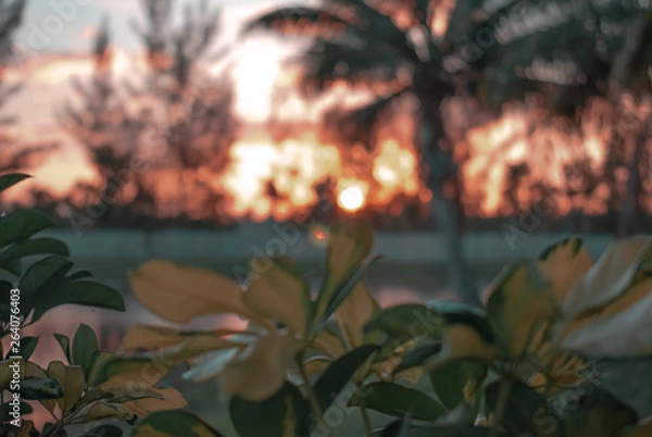 Obraz Sunset and nature 