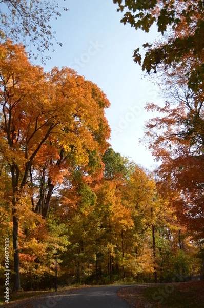 Fototapeta path2colrs