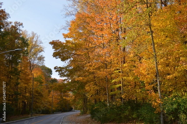 Fototapeta road2colrs