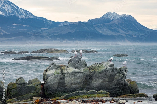 Obraz stormy ocean with seagulls