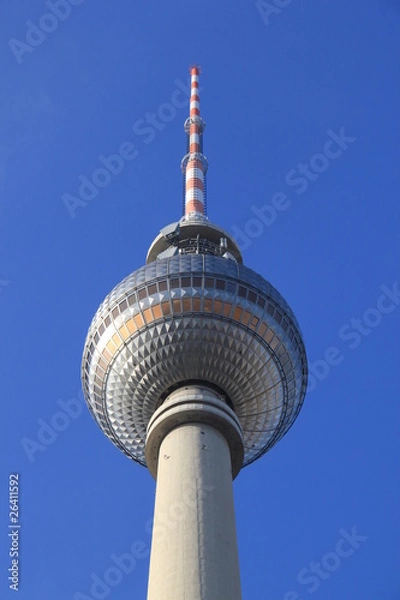 Fototapeta Berliner Fernsehturm