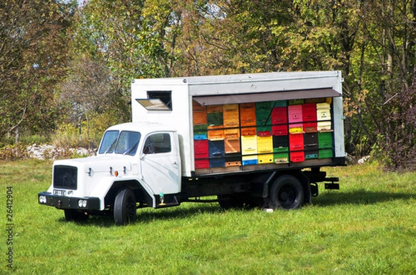 Obraz Mobile bee-hive