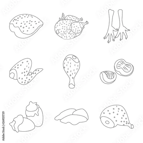 Obraz Vector illustration of food and grilled logo. Collection of food and bird  vector icon for stock.