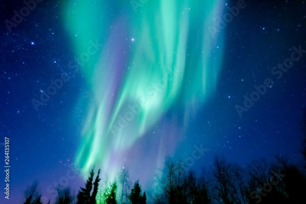 Fototapeta オーロラ