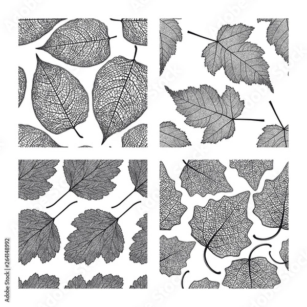 Fototapeta Set of four seamless patterns with skeleton leaves. Stefanander, hawthorn and poplar.