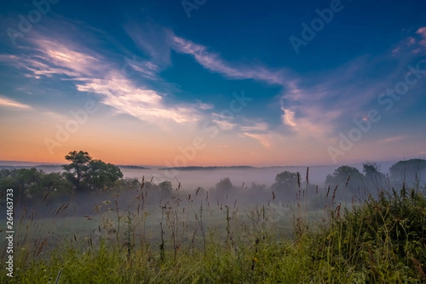 Fototapeta Morning fog in a ravine at sunrise