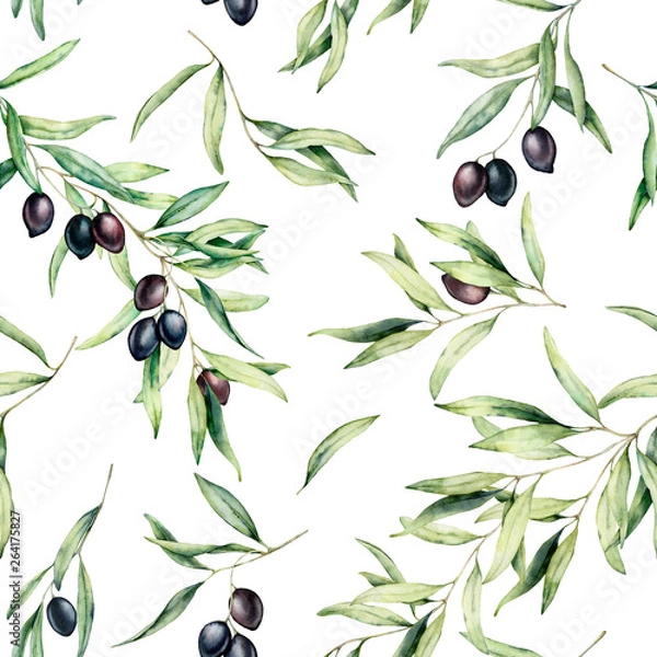 Fototapeta Watercolor seamless pattern with olive tree branch, black olives, and leaves. Hand painted botanical illustration isolated on white background for design, print, fabric or background.