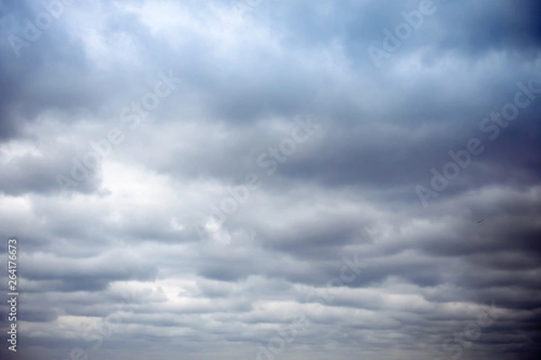 Fototapeta Stormy stratus clouds background / texture