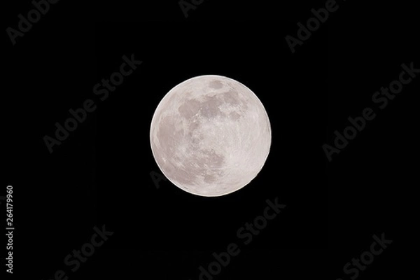 Obraz ピンクムーン