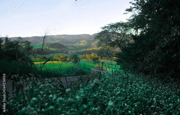 Obraz Serra Da Paulista (2)