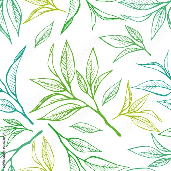 Obraz Floral seamless pattern with tea leaves in sketch style. Hand drawn tea leaves background. Vector illustration on white. For textile, paper, decoration and wrapping