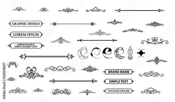 Obraz Vintage set decor elements. Decoration for logo