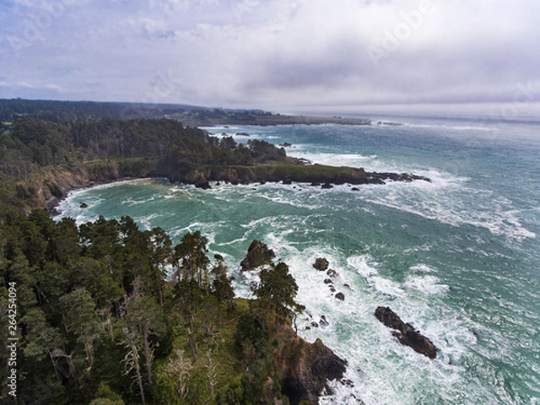 Obraz Russian Gulch Beach