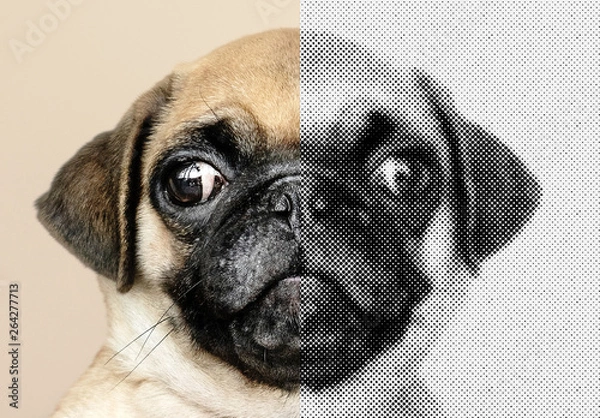 Obraz Color Halftone Effect Image Mask Layout