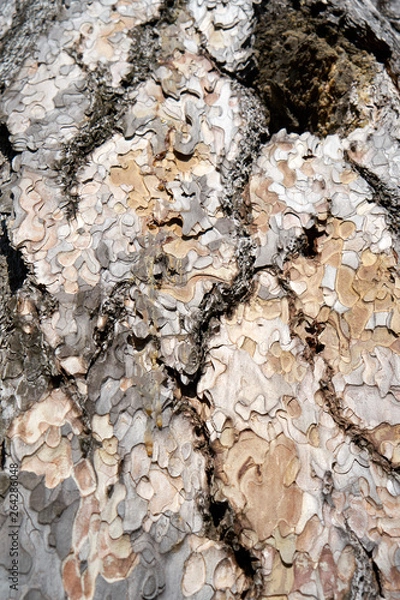 Fototapeta Is beatuiful and has varous interesting shapes and cracks that make this image perfect for backgrounds or editing.