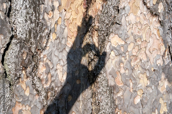 Fototapeta Is beatuiful and has varous interesting shapes and cracks that make this image perfect for backgrounds or editing. There are some handgestures out of the photographers shadows.