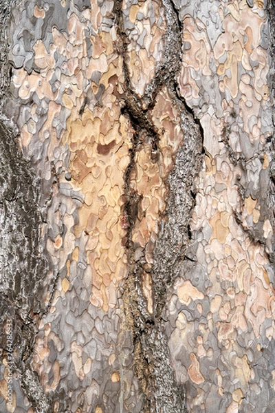 Fototapeta Is beatuiful and has varous interesting shapes and cracks that make this image perfect for backgrounds or editing.