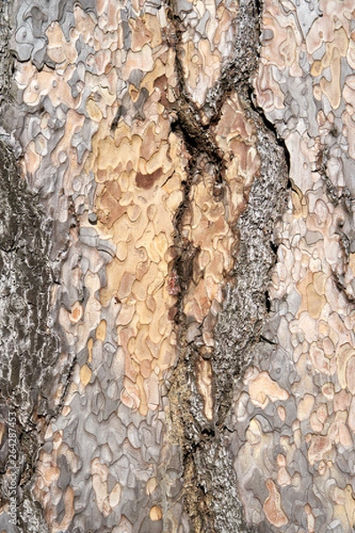 Fototapeta Is beatuiful and has varous interesting shapes and cracks that make this image perfect for backgrounds or editing.