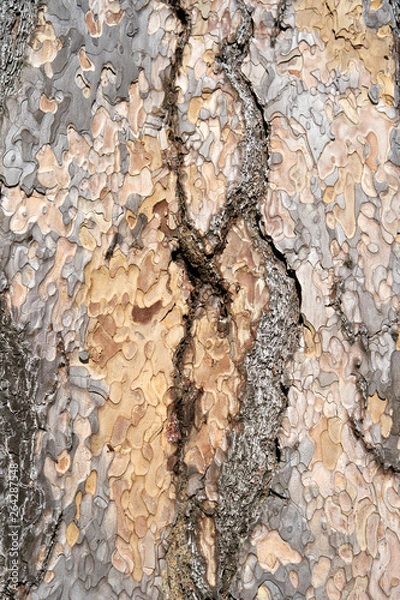 Fototapeta Is beatuiful and has varous interesting shapes and cracks that make this image perfect for backgrounds or editing.