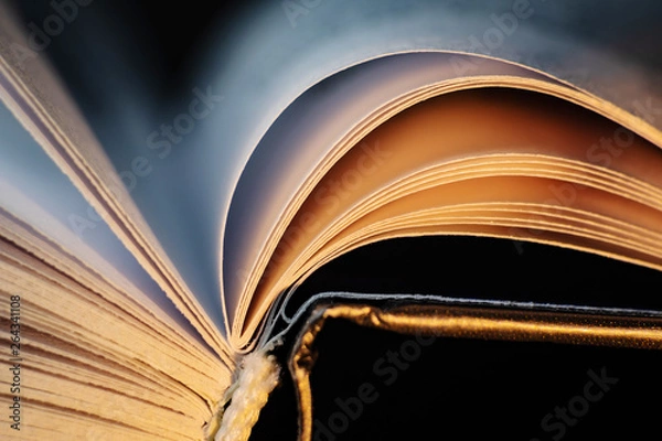 Fototapeta Book pages close up on a light background. Macro photography in bright colors is suitable as a background on the topics of reading, literature, book business, book publishing. 