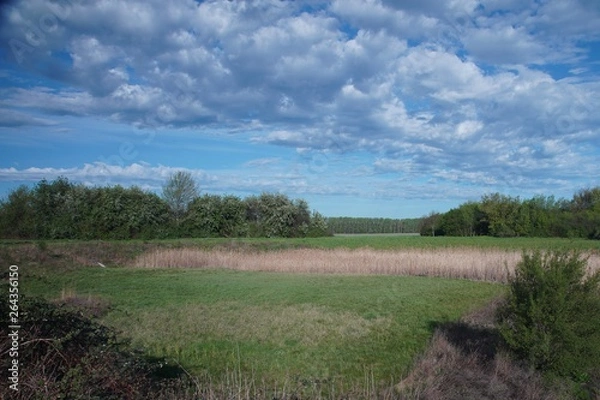 Fototapeta Elisabethaue2019