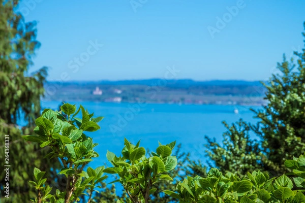 Fototapeta View form the hillside of Mainau island to Lake Constance (Bodensee), a mediterranean background concept with lots of copy space