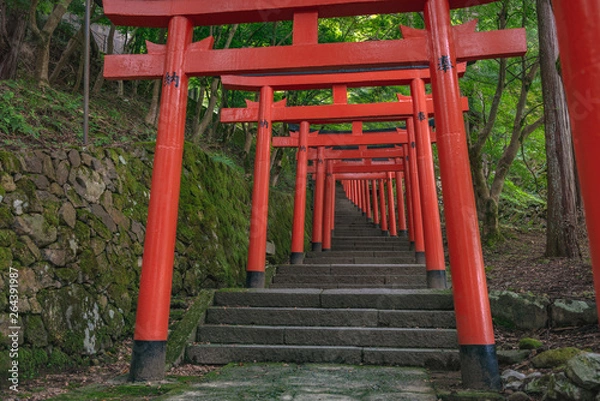 Fototapeta 出石城 有子山稲荷神社
