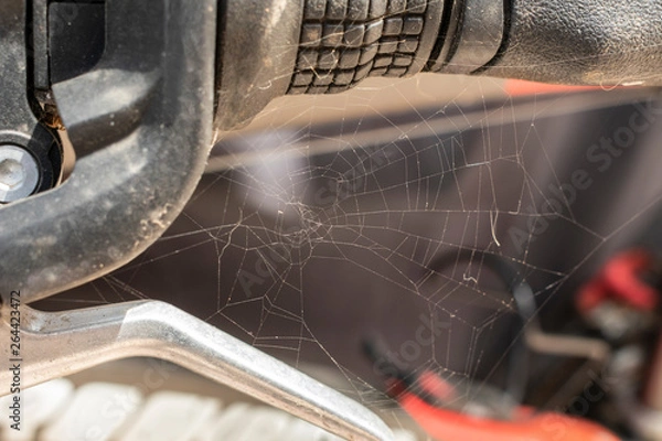 Fototapeta Ragnatela