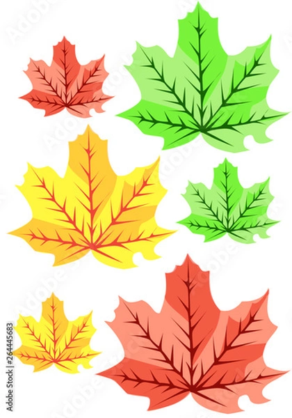 Obraz maple leaves in color