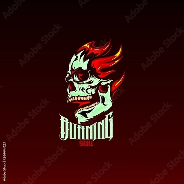 Obraz burning skull
