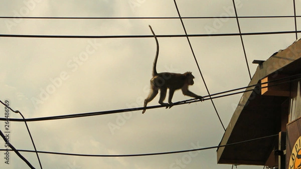 Obraz бали, индонезия, туризм